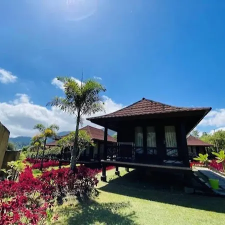 Rudi'S Villa Lombok-3